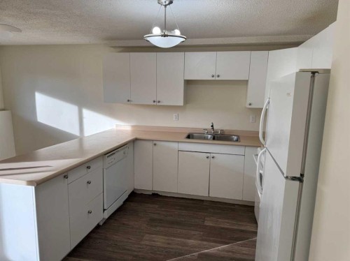 7 Nyberg Avenue, Red Deer, AB - Indoor Photo Showing Kitchen With Double Sink