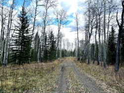 32521 Range Road 72  Rural Mountain View County, AB T0M 1X0