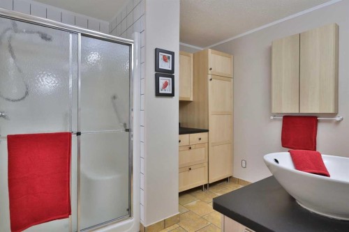 105-4834 52A Street, Camrose, AB - Indoor Photo Showing Bathroom