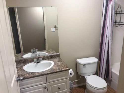 7017 Deer Street, Lacombe, AB - Indoor Photo Showing Bathroom