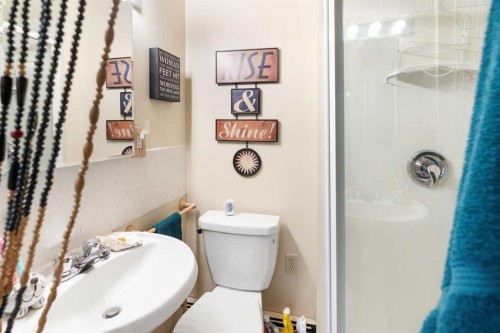 5014 43 Street, Sylvan Lake, AB - Indoor Photo Showing Bathroom