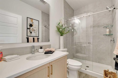 18 Lewiston Row Ne, Calgary, AB - Indoor Photo Showing Bathroom