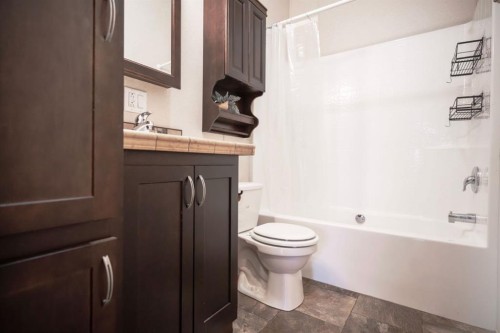 46-41019 Range Road 11, Rural Lacombe County, AB - Indoor Photo Showing Bathroom