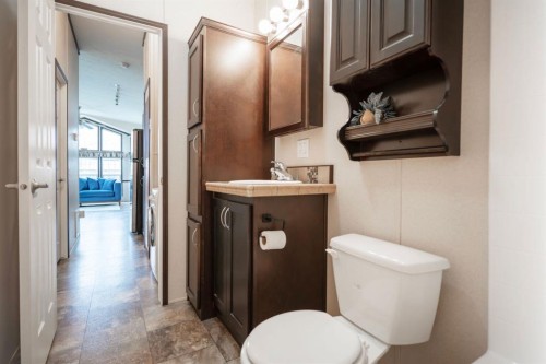 46-41019 Range Road 11, Rural Lacombe County, AB - Indoor Photo Showing Bathroom