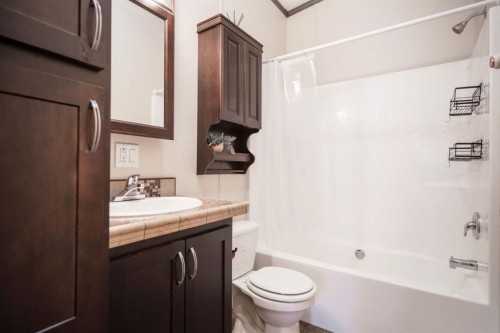 46-41019 Range Road 11, Rural Lacombe County, AB - Indoor Photo Showing Bathroom