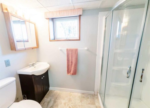 221 4Th Avenue South, Big Valley, AB - Indoor Photo Showing Bathroom