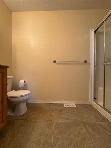 4953 49 Street, Sedgewick, AB - Indoor Photo Showing Bathroom