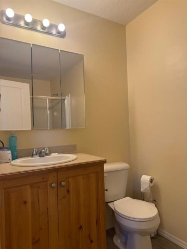 4953 49 Street, Sedgewick, AB - Indoor Photo Showing Bathroom