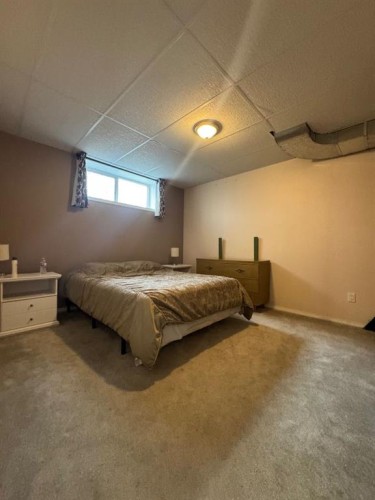 4953 49 Street, Sedgewick, AB - Indoor Photo Showing Bedroom