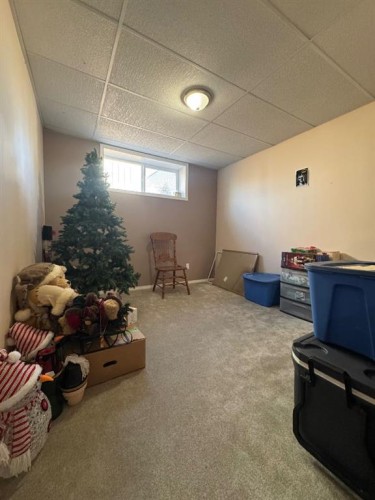 4953 49 Street, Sedgewick, AB - Indoor Photo Showing Basement