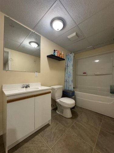 4953 49 Street, Sedgewick, AB - Indoor Photo Showing Bathroom