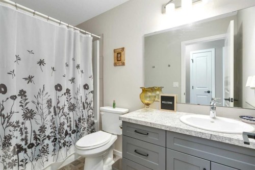 4633 48 Street, Sylvan Lake, AB - Indoor Photo Showing Bathroom