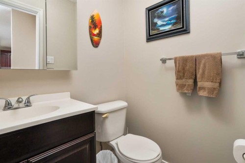 20459 484 Township, Rural Camrose County, AB - Indoor Photo Showing Bathroom