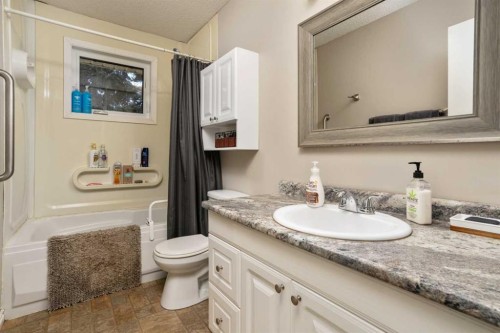 20459 484 Township, Rural Camrose County, AB - Indoor Photo Showing Bathroom