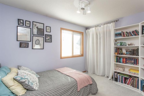 179 Douglas Avenue, Red Deer, AB - Indoor Photo Showing Bedroom