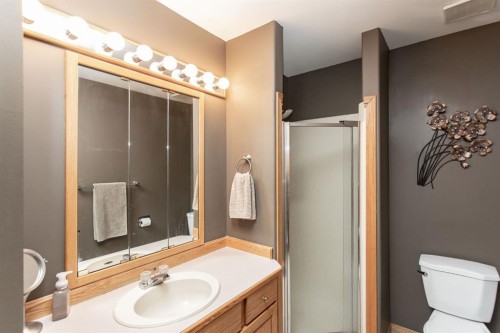 179 Douglas Avenue, Red Deer, AB - Indoor Photo Showing Bathroom