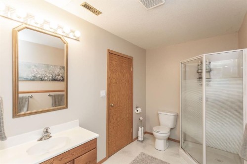 179 Douglas Avenue, Red Deer, AB - Indoor Photo Showing Bathroom