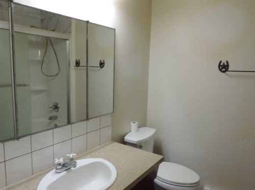 Rr30, Rural Ponoka County, AB - Indoor Photo Showing Bathroom