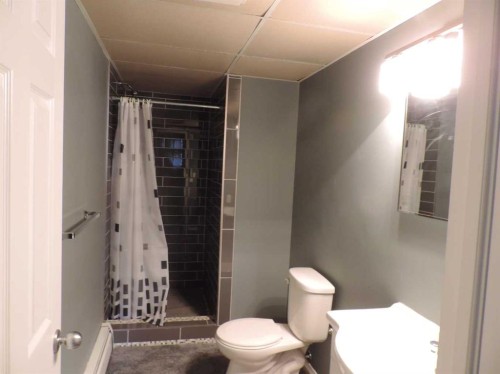 Rr30, Rural Ponoka County, AB - Indoor Photo Showing Bathroom