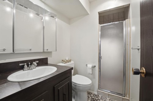 20 Allsop Close, Red Deer, AB - Indoor Photo Showing Bathroom