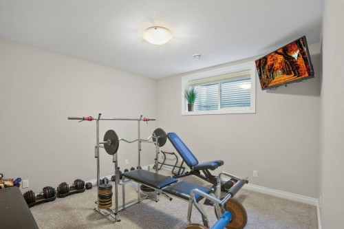 125 Traptow Close, Red Deer, AB - Indoor Photo Showing Gym Room