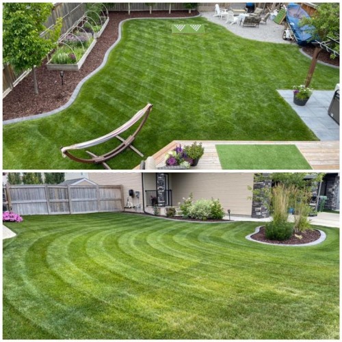 125 Traptow Close, Red Deer, AB - Outdoor With Backyard