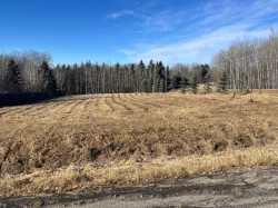 on Zion Road  Rural Clearwater County, AB T0M 0X0