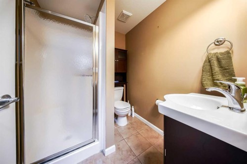 207-5040 53 Street, Sylvan Lake, AB - Indoor Photo Showing Bathroom