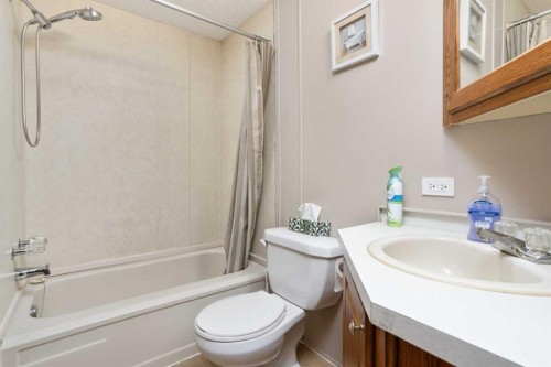 5233 47 Street, Camrose, AB - Indoor Photo Showing Bathroom