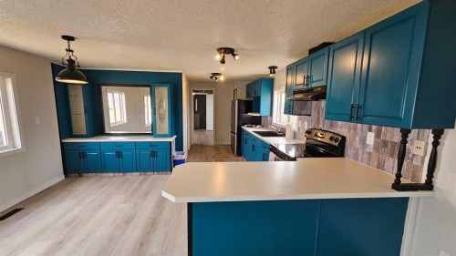 4404 Park Crescent, Coronation, AB - Indoor Photo Showing Kitchen