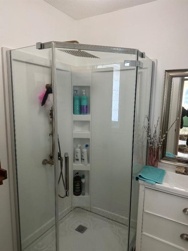 4819 50Th Alley North, Amisk, AB - Indoor Photo Showing Bathroom