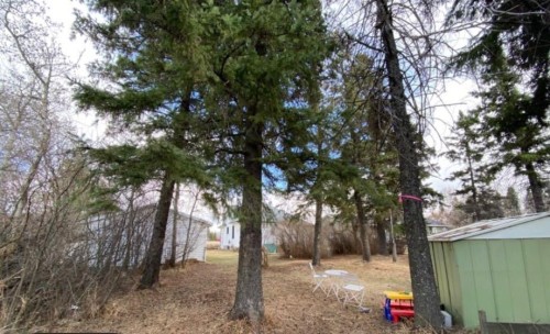 207 Vrolson Road, Bawlf, AB - Outdoor