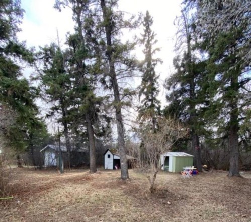 207 Vrolson Road, Bawlf, AB - Outdoor
