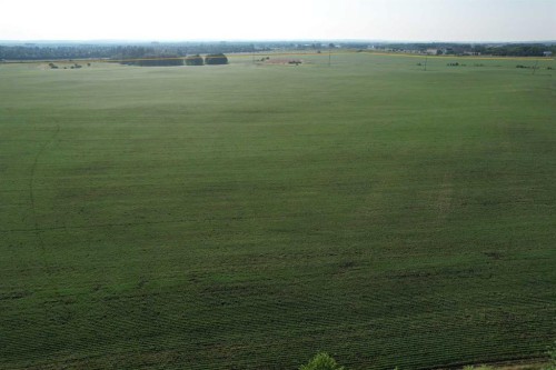 On Township Road 381, Rural Red Deer County, AB 