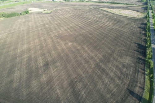 On Township Road 381, Rural Red Deer County, AB 