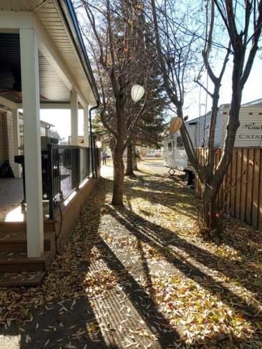 61 Points West Resort, Sylvan Lake, AB 