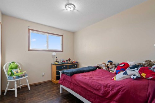 20203 Twp Rd 460, Rural Camrose County, AB - Indoor Photo Showing Bedroom
