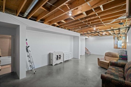 20203 Twp Rd 460, Rural Camrose County, AB - Indoor Photo Showing Basement