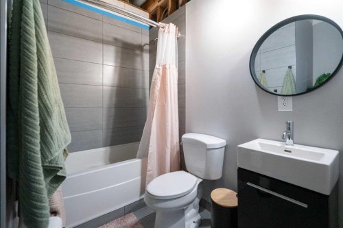 20203 Twp Rd 460, Rural Camrose County, AB - Indoor Photo Showing Bathroom