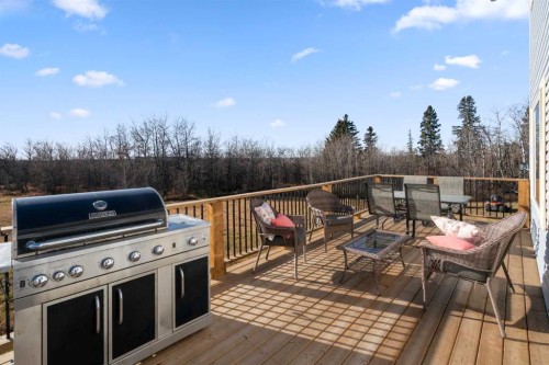 20203 Twp Rd 460, Rural Camrose County, AB - Outdoor With Deck Patio Veranda With Exterior