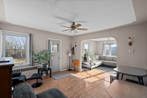 20203 Twp Rd 460, Rural Camrose County, AB - Indoor Photo Showing Living Room