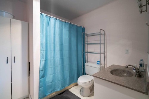 20203 Twp Rd 460, Rural Camrose County, AB - Indoor Photo Showing Bathroom