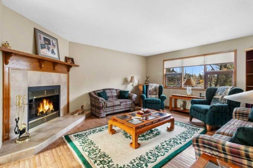 45 Ravenscrag Crescent North, Norglenwold, AB - Indoor Photo Showing Living Room With Fireplace