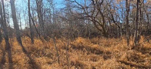 4832 46 Street, Mirror, AB 