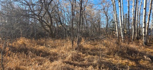 4832 46 Street, Mirror, AB 