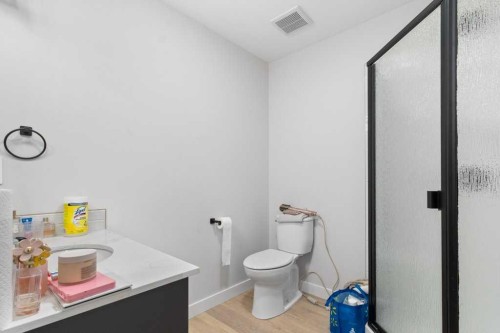4507 48 Avenue, Sylvan Lake, AB - Indoor Photo Showing Bathroom
