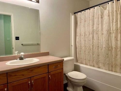 4919 53 Avenue, Viking, AB - Indoor Photo Showing Bathroom