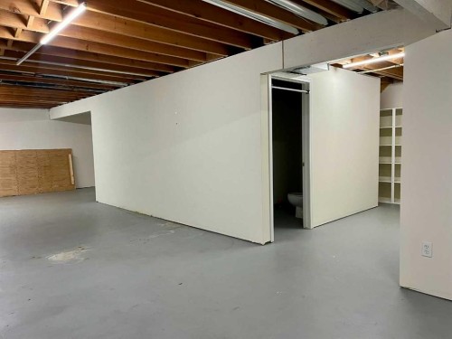 4919 53 Avenue, Viking, AB - Indoor Photo Showing Basement