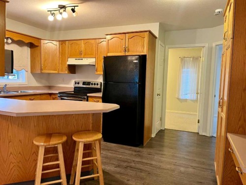 4919 53 Avenue, Viking, AB - Indoor Photo Showing Kitchen With Double Sink