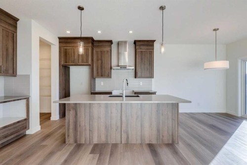 315 Dawson Dock Way, Chestermere, AB - Indoor Photo Showing Kitchen With Upgraded Kitchen